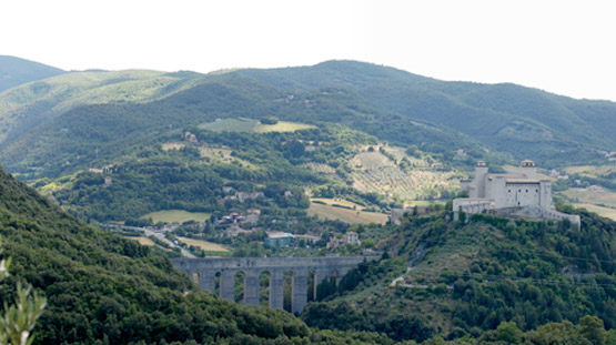 alta-scuola-17
