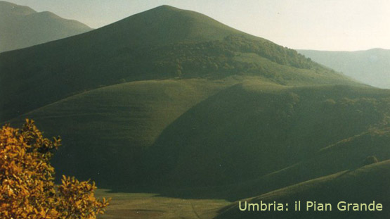 alta-scuola-5