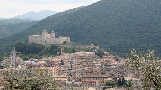 alta-scuola-6